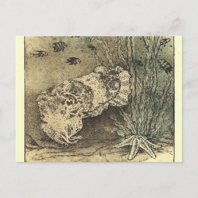 Carte Postale poisson (Devant)