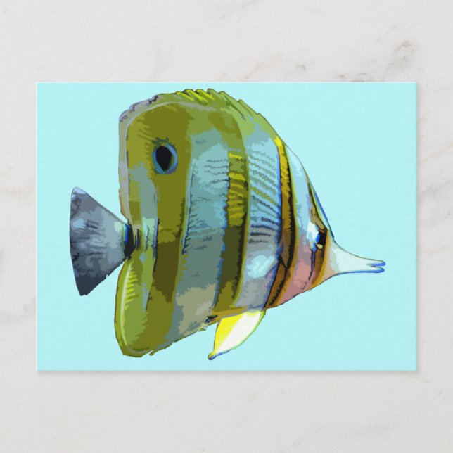Carte Postale Poisson à papillon à bande de cuivre (Devant)