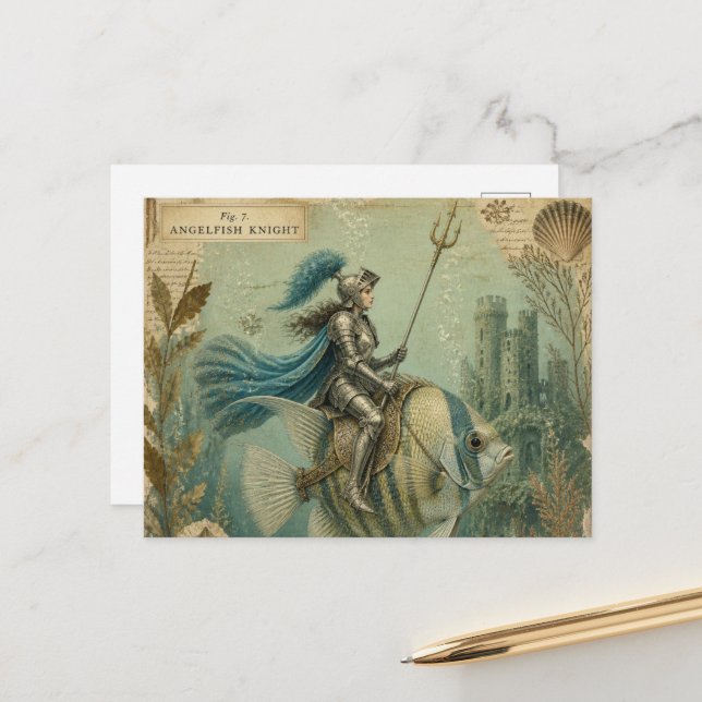 Carte Postale Poisson-ange Chevalier (Devant/Arrière en situation)
