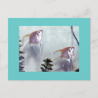 Carte Postale Poisson-ange perle argenté