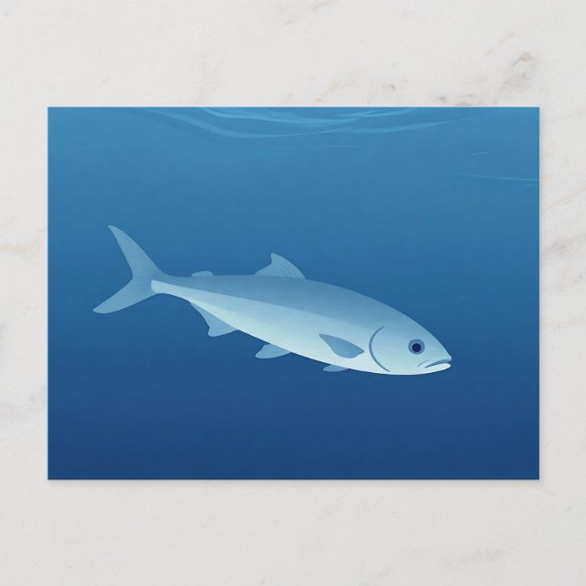 Carte Postale Poisson Argenté Serein Océan Bleu (Devant)