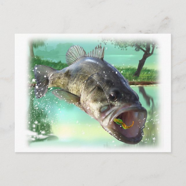 Carte Postale poisson basse (Devant)