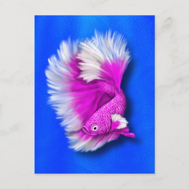 Carte Postale Poisson blanc et rose chaud (Devant)