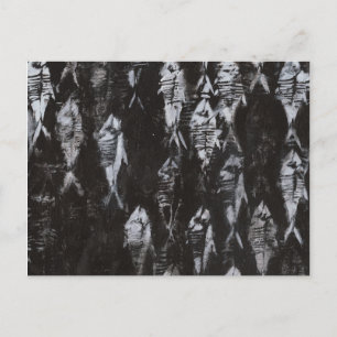 Carte Postale Poisson blanc fossile sur Arrière - plan noir