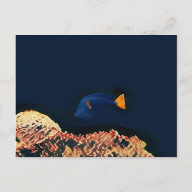 Carte Postale Poisson bleu Tang (Devant)