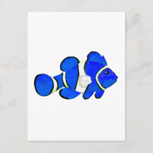 Carte Postale Poisson Bleu Vero Beach 2010 Le MUSÉE Zazzle Cadea