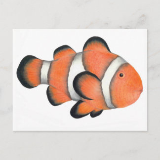 Carte Postale Poisson clown