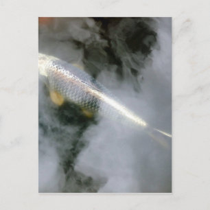Carte Postale Poisson d'argent dans l'eau et les nuages