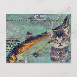 Carte Postale Poisson de chat - Collage multimédia mixte
