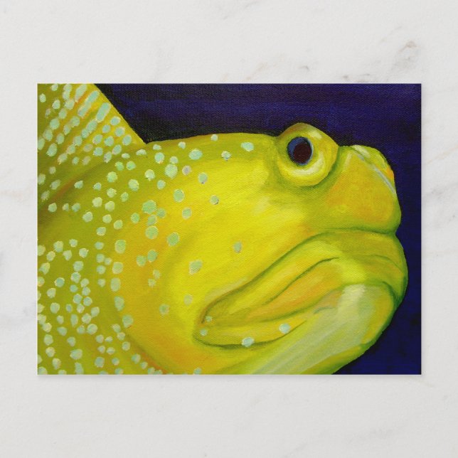 Carte Postale Poisson de goby de Watchman jaune (Devant)