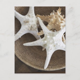 Carte Postale Poisson d'étoiles dans un panier