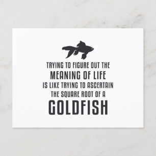 Carte Postale Poisson D'Or Signification De Vie Poisson D'Or Rét