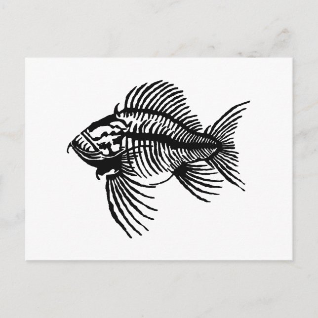 Carte Postale Poisson fossile (Devant)