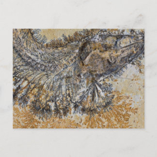 Carte Postale Poisson fossile