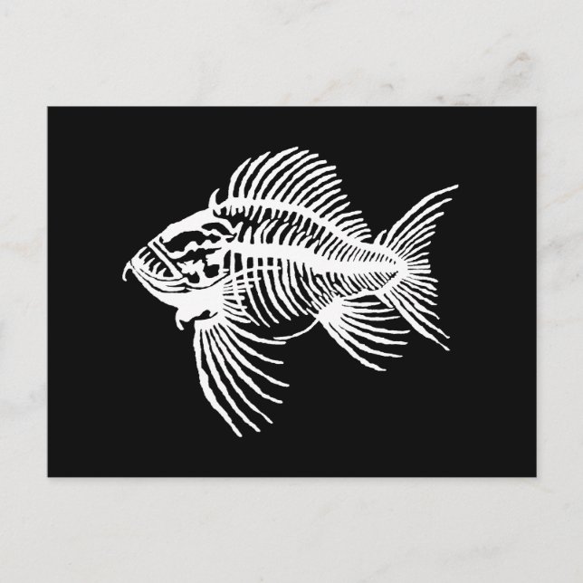 Carte Postale Poisson fossile (Devant)