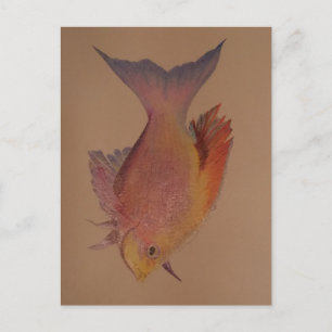 Carte Postale Poisson Iridescendant