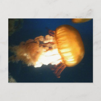 Carte Postale Poisson jaune