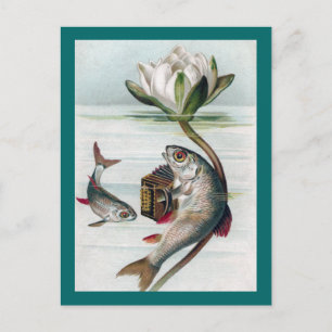 Carte Postale Poisson Jouer Accordion et Lys d'eau