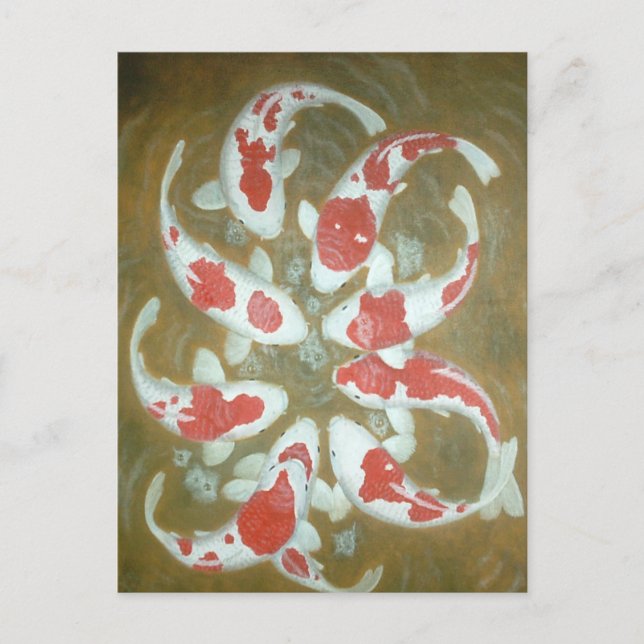 CARTE POSTALE POISSON KOI (Devant)