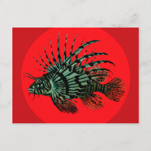 Carte postale Poisson Lion