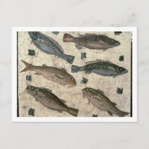 Carte Postale Poisson (mosaïque)