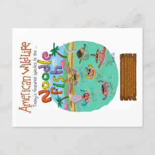 Carte Postale Poisson-nouilles américain