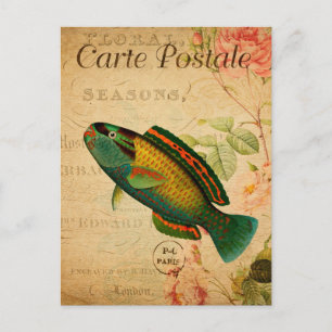 Carte Postale Poisson perroquet vintage Floral Français