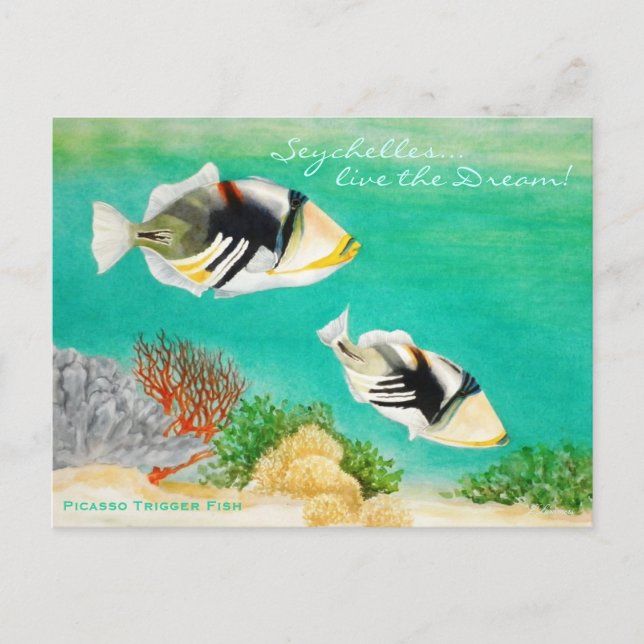 Carte Postale Poisson Picasso (Devant)