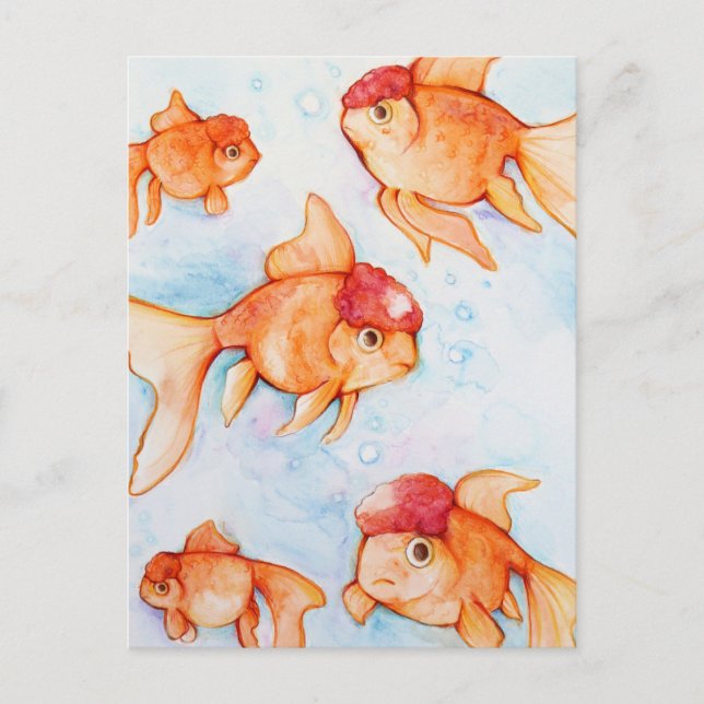 Carte Postale Poisson rouge oranda fantaisie (Devant)