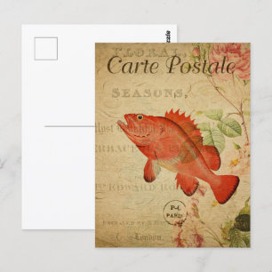 Carte Postale Poisson rouge vintage Sepia Orange