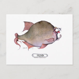 Carte Postale Poisson roux, tony fernandes