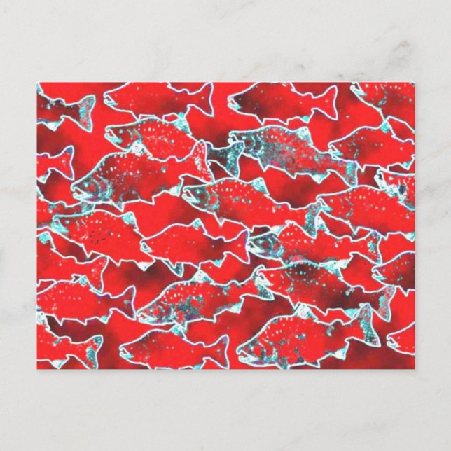 CARTE POSTALE POISSON SAUMON REDS (Devant)