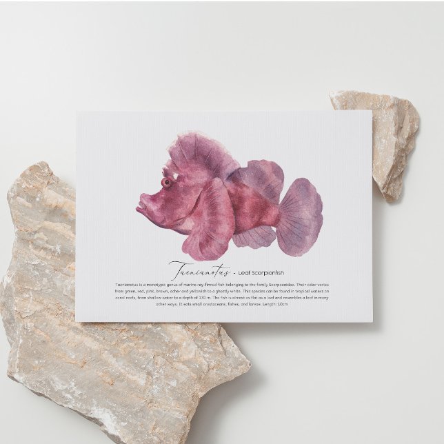 Carte postale Poisson Scorpion feuille (Créateur téléchargé)