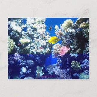 Carte Postale Poisson tropical