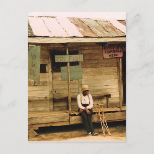 Carte Postale Poisson vivant à vendre