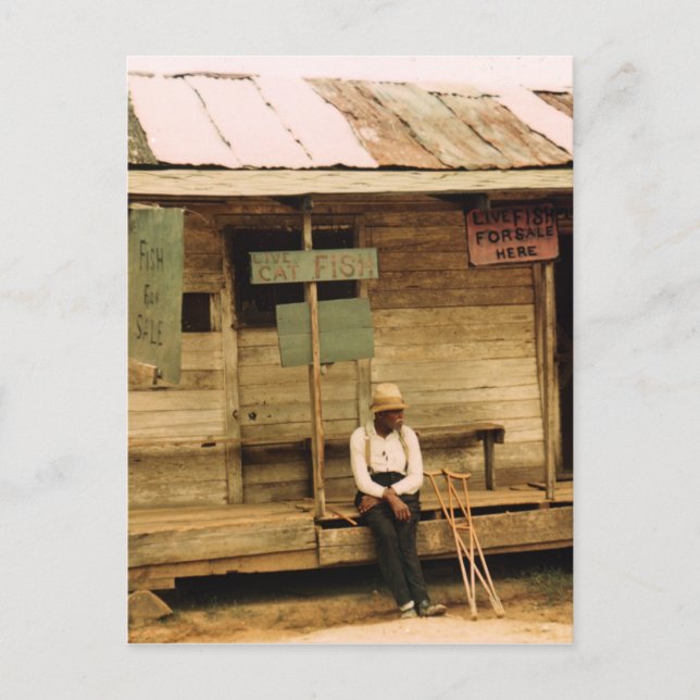 Carte Postale Poisson vivant à vendre (Devant)