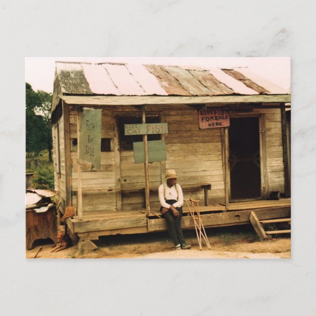 Carte Postale Poisson vivant à vendre (Devant)