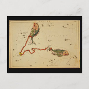 Carte postale Poissons