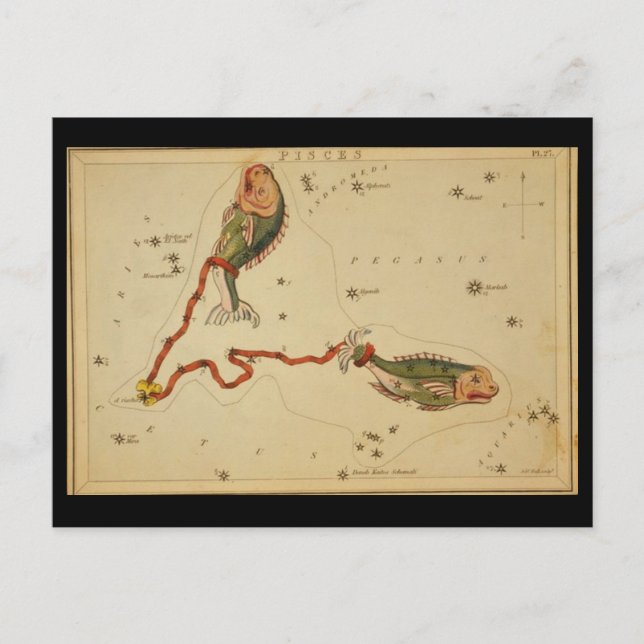 Carte postale Poissons (Devant)