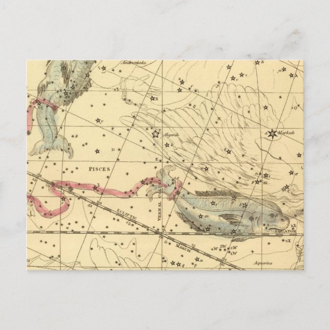 Carte Postale Poissons (Devant)