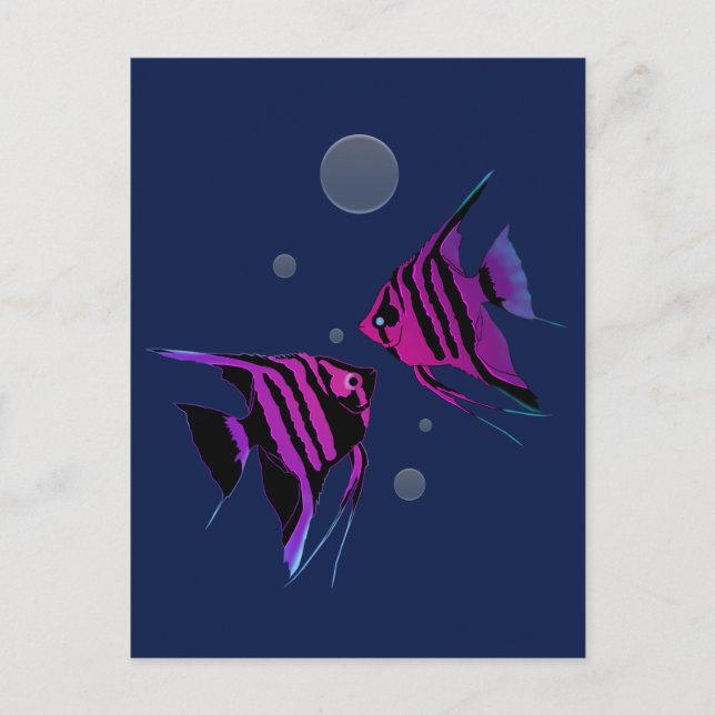 Carte Postale Poissons-anges néons (Devant)