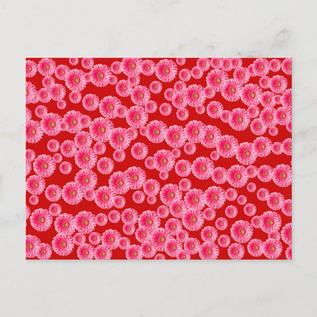 Carte Postale Poissons de Gerber rose (Devant)