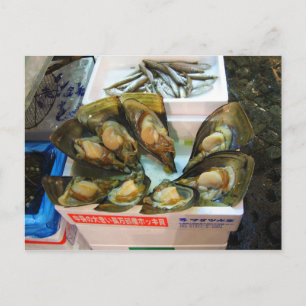 Carte Postale Poissons de moules géantes Tsukiji, Tokyo, Japon