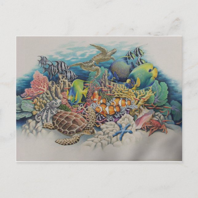 Carte Postale Poissons de récif de corail en symphonie (Devant)