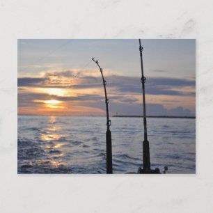 Carte Postale Poissons dessus !