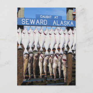 Carte Postale Poissons en Seward, Alaska