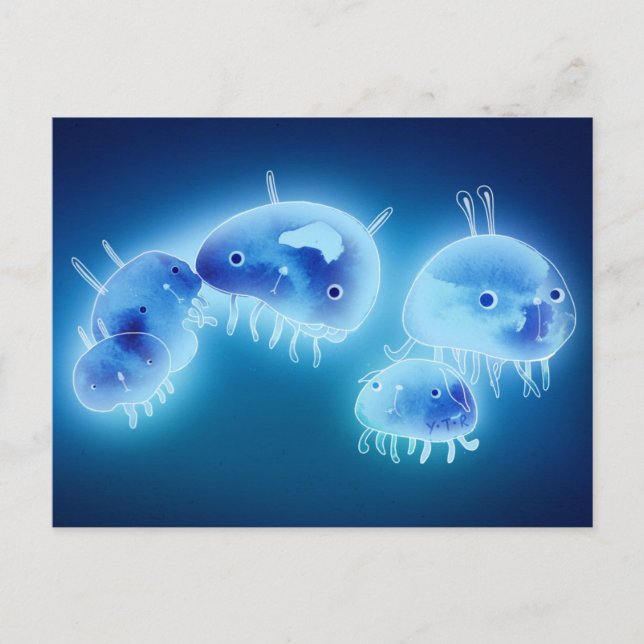 Carte Postale Poissons gelés 2013 (Devant)