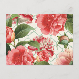 Carte Postale poitrine vintage moderne