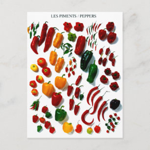 Carte Postale Poivrons