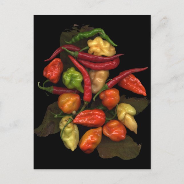 Carte Postale Poivrons (Devant)
